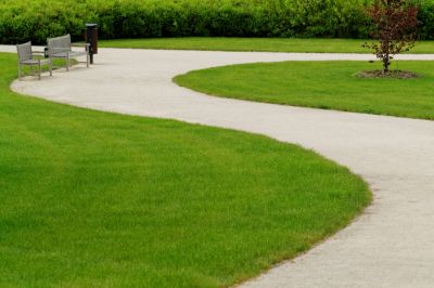 Professional Consultation